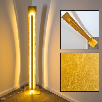 Petrolia Lámpara de pie LED dorado, 1 luz