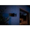 Philips Hue White Fuzo Aplique LED Negro, 1 luz