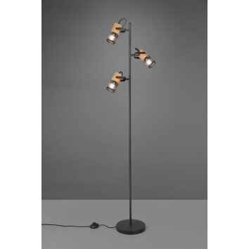 Trio Tosh Lámpara de Pie LED Negro, 3 luces