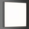 Lámpara de techo para exterior LCD TYP 5060 LED Negro, 1 luz