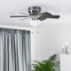 Trillo Ventilador de techo Gris, Madera clara, Níquel-mate, 1 luz