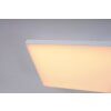 Paul Neuhaus Q-FLAG Lámpara de Techo LED Blanca, 1 luz, Mando a distancia, Cambia de color