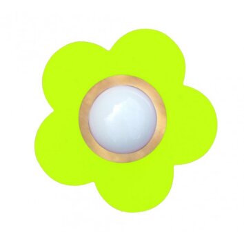 Waldi Fleur petit Lámpara de techo Verde, 1 luz