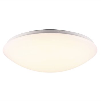 Nordlux ASK Lámpara de Techo LED Blanca, 1 luz