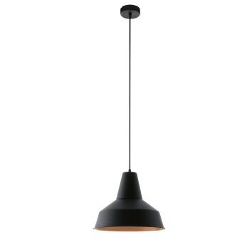 Eglo SOMERTON Lámpara suspendida Cobre, Negro, 1 luz