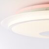 Brilliant Viktor Lámpara de Techo LED Plata, Blanca, 1 luz, Mando a distancia, Cambia de color