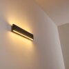 Obion Aplique LED Negro, 2 luces